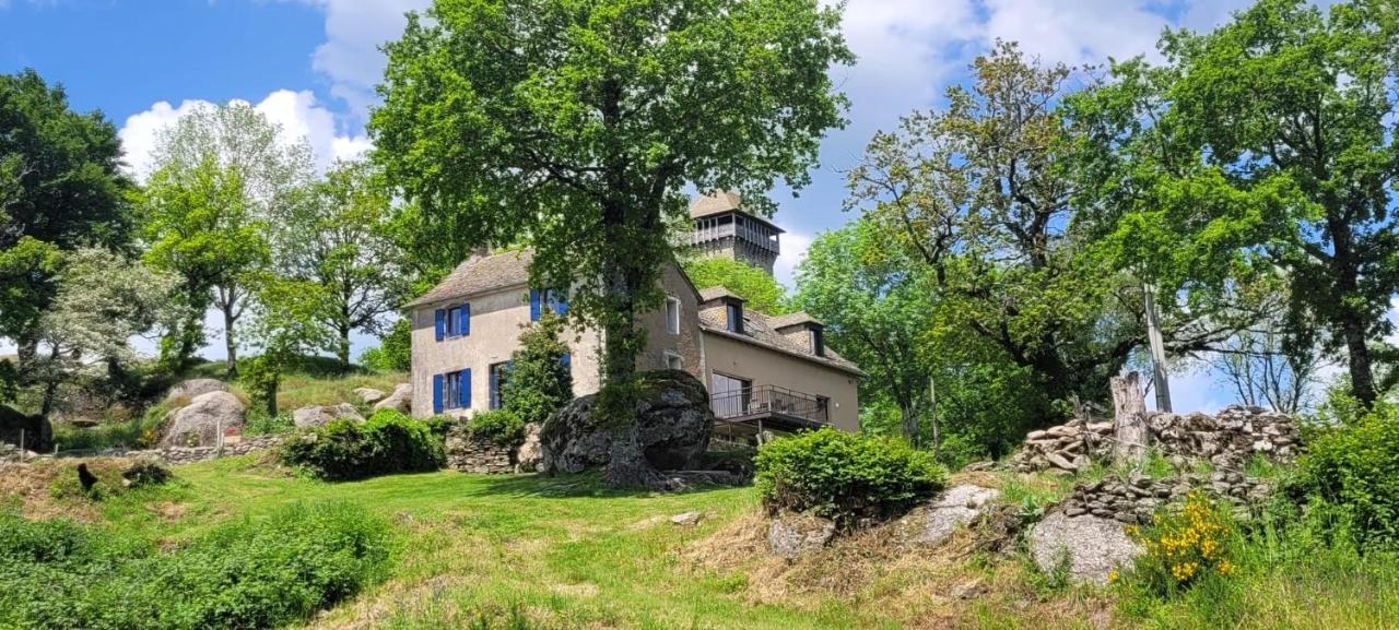 Gite A La Tour De Peyrebrune Villa Alrance Esterno foto